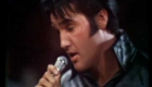 Lied für Hochzeitstorte anschneiden: Presley, Elvis - Can't Help Falling In Love