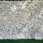 Blumenwand in 3 Größen als Fotohintergrund, ab 150 Euro